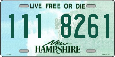 NH license plate 1118261