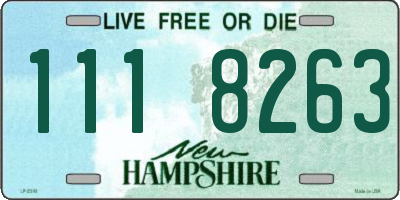 NH license plate 1118263