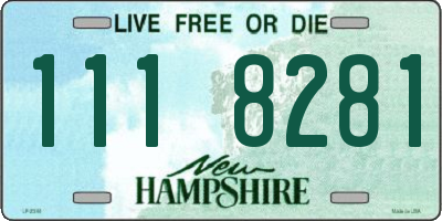 NH license plate 1118281