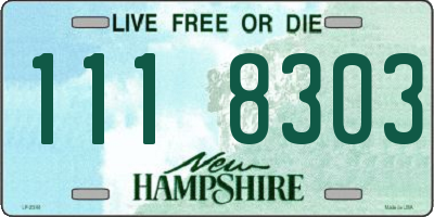 NH license plate 1118303