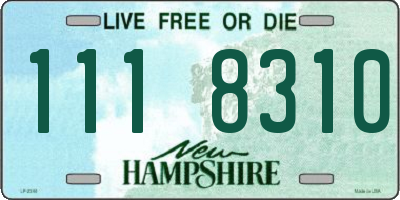 NH license plate 1118310