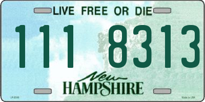 NH license plate 1118313