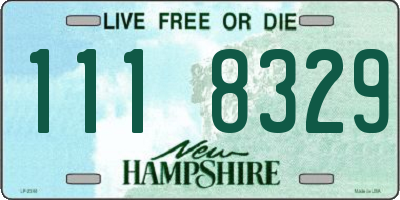 NH license plate 1118329