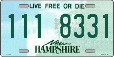 NH license plate 1118331
