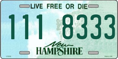 NH license plate 1118333