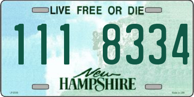 NH license plate 1118334