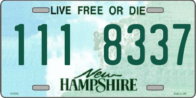 NH license plate 1118337
