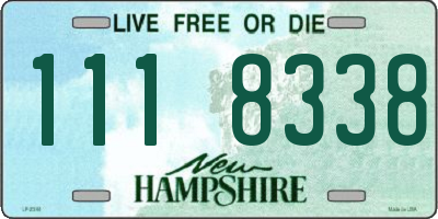 NH license plate 1118338