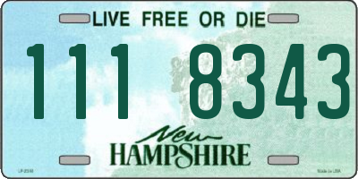 NH license plate 1118343