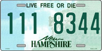 NH license plate 1118344