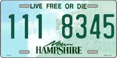 NH license plate 1118345