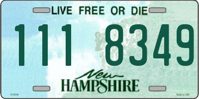 NH license plate 1118349