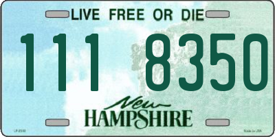 NH license plate 1118350