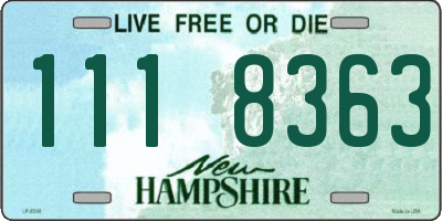 NH license plate 1118363
