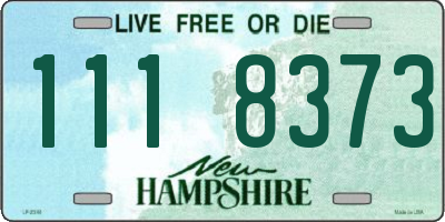 NH license plate 1118373