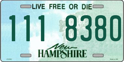 NH license plate 1118380