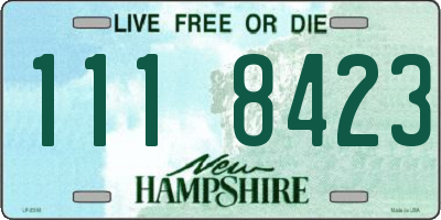 NH license plate 1118423