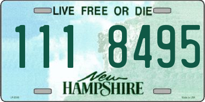 NH license plate 1118495