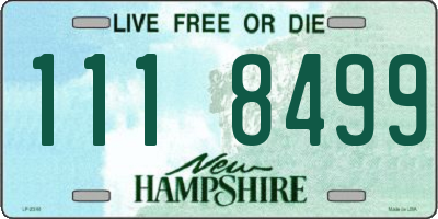 NH license plate 1118499