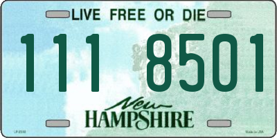 NH license plate 1118501