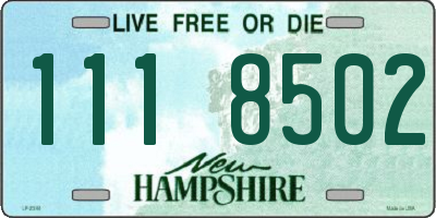 NH license plate 1118502