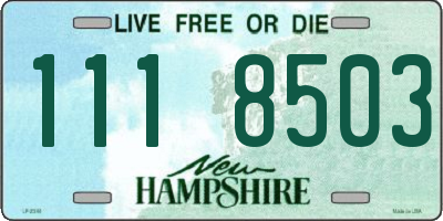 NH license plate 1118503