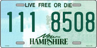 NH license plate 1118508