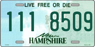 NH license plate 1118509