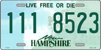 NH license plate 1118523