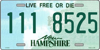 NH license plate 1118525