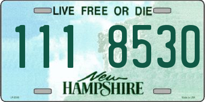 NH license plate 1118530
