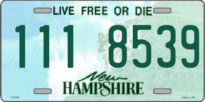 NH license plate 1118539
