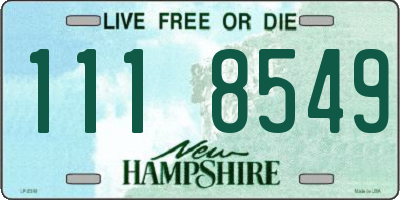 NH license plate 1118549