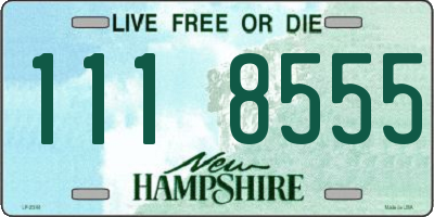 NH license plate 1118555
