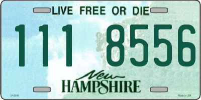 NH license plate 1118556