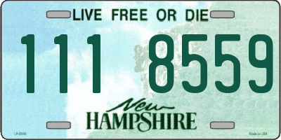 NH license plate 1118559