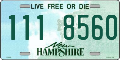 NH license plate 1118560