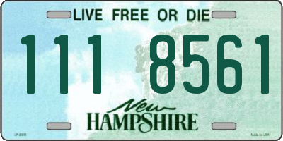 NH license plate 1118561