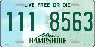 NH license plate 1118563
