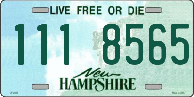 NH license plate 1118565