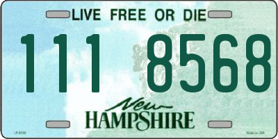 NH license plate 1118568