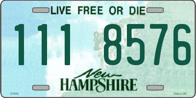 NH license plate 1118576