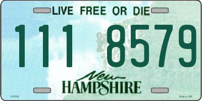 NH license plate 1118579