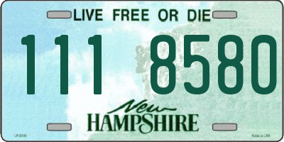 NH license plate 1118580