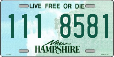 NH license plate 1118581