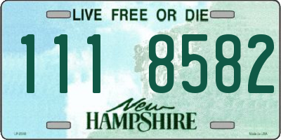 NH license plate 1118582