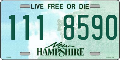 NH license plate 1118590