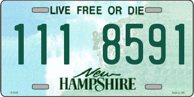NH license plate 1118591