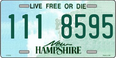 NH license plate 1118595