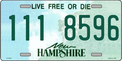 NH license plate 1118596